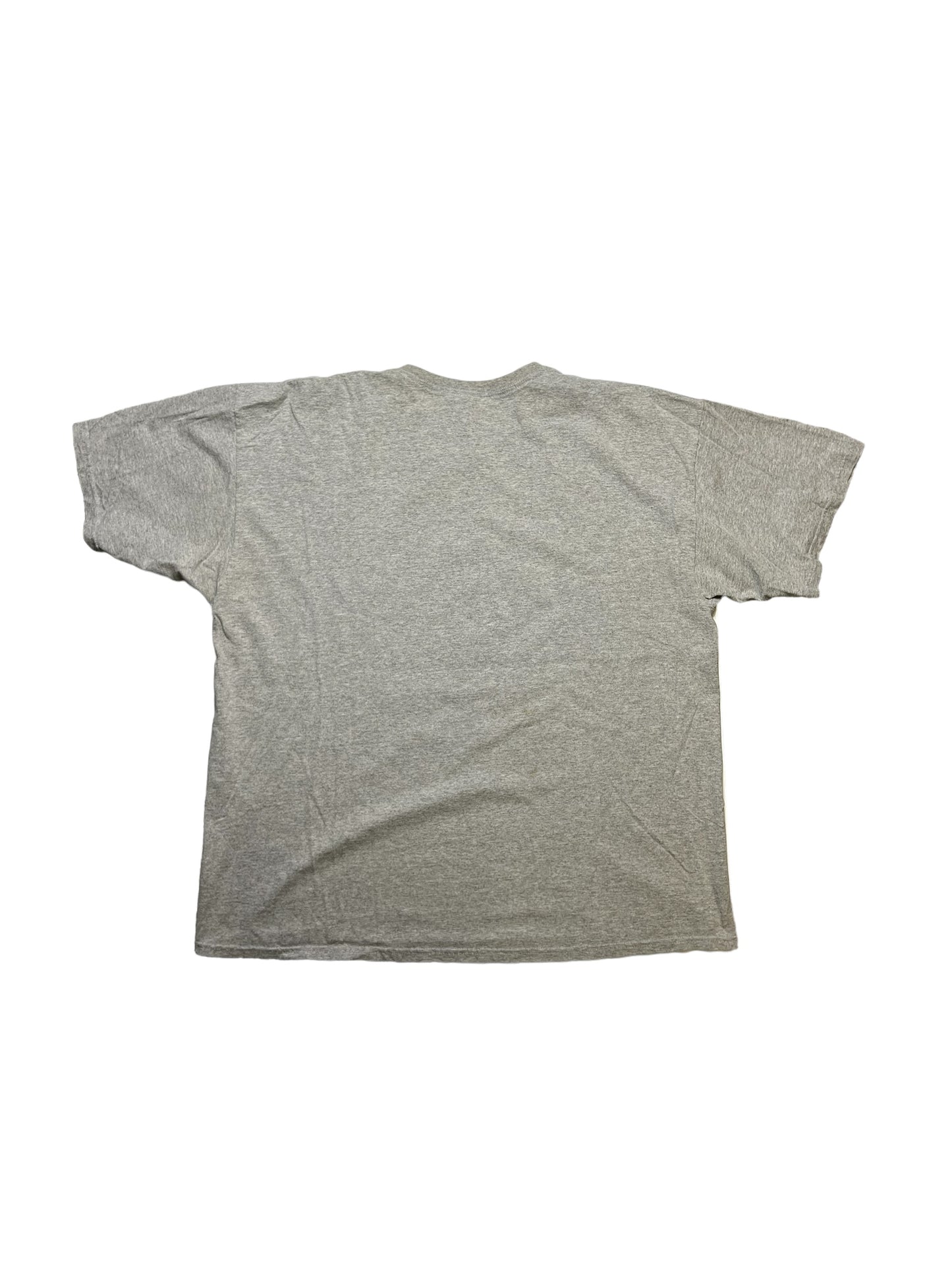 Vintage Oregon ducks tee