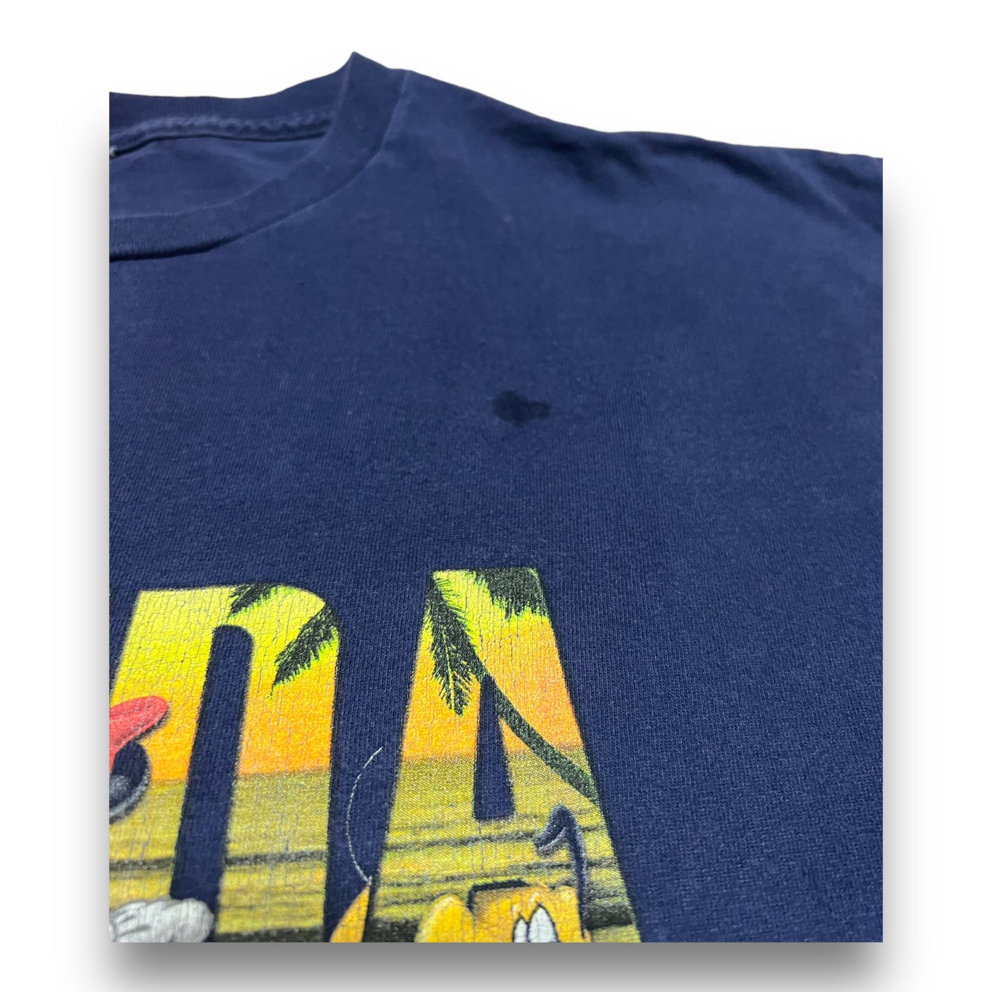 Vintage Disney Florida Mickey Tee