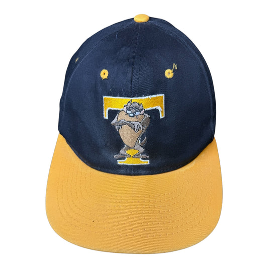 Vintage Taz Looney Tunes Hat